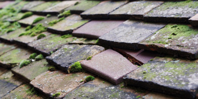 Clapham roof repair costs